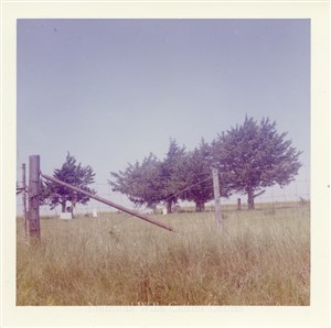 Image description is not available for PHO-4-W689-924